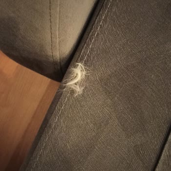 Hipet Cosmetics Kedime Zarar Verdi