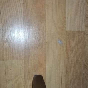 Hipet Cosmetics Kedime Zarar Verdi