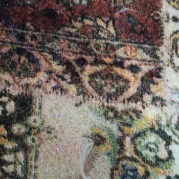 Hipet Cosmetics Kedime Zarar Verdi