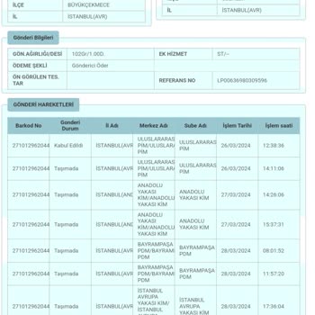 PTT Kargo Yurt Dışı Kargom İlçe Karmaşasında Kayboldu!