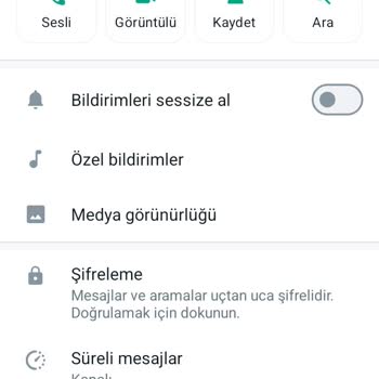 WhatsApp Yabancı Ülkeden Gelen Sesli Arama