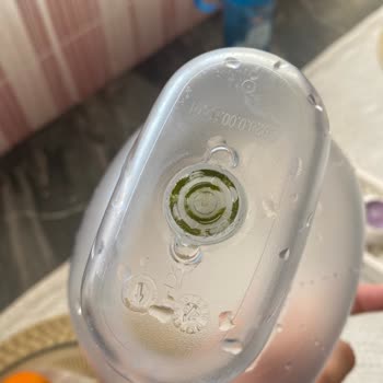 Brita Sürahi Yosunlaşma Problemi