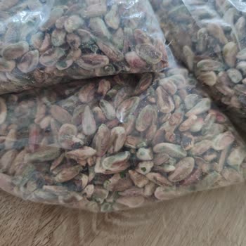 Hatay Ömür Yufka Kupkuru Boz Antep Fıstığı