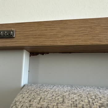 Kelebek Mobilya Gaziantep İbrahimli Şubesi Pişmanlık