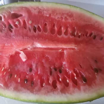 Getirde Bozuk Ürün Teslimleri