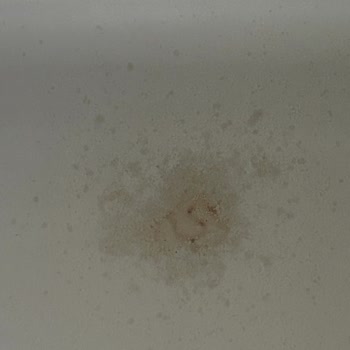 Altınkılıç Kefirin Patlaması Ve Ekşi Tadı