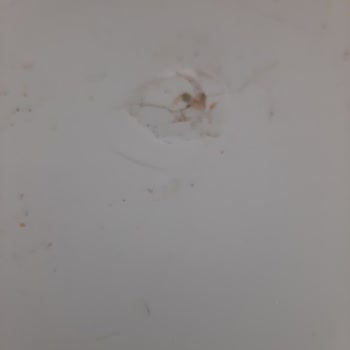 Bosch Buzdolabı Servisi Sorunu