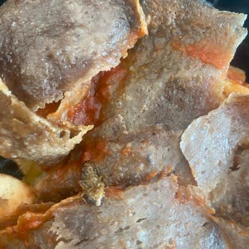 Baydöner İskender İçinde Böcek Çıktı