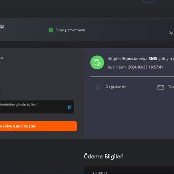 Oyunexe 1000 Robuxum Gelmedi