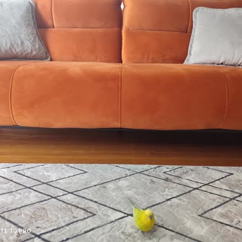 Rahat Home Design Kalitesiz Koltuk Takımı Ve İlgisiz Müşteri Hizmetleri