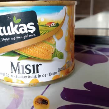 Tukaş Mısırda Sinek Çıkması