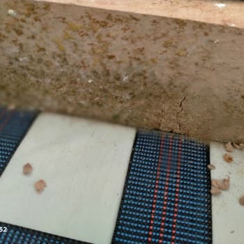 Yeni Koltuğum Küflenmiş: Giresun Kolay Home Hayal Kırıklığı