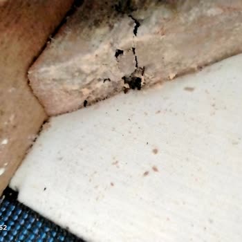 Yeni Koltuğum Küflenmiş: Giresun Kolay Home Hayal Kırıklığı