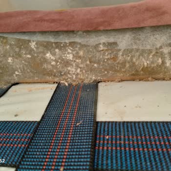 Yeni Koltuğum Küflenmiş: Giresun Kolay Home Hayal Kırıklığı