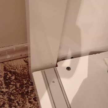 Eureko Sigorta Europa Sigorta Sorumsuzluğu Ve Mağdur Etmesi