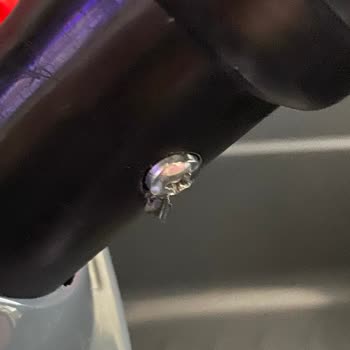 Dolu Toy Factory Dolu Daytona 12V Akulu Araba Defolu Ürün Gönderdi