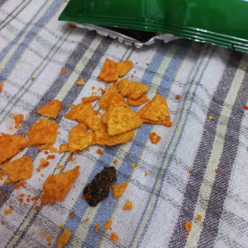 Patos Mısır Cipsi Üreticisine Şikayetim Var