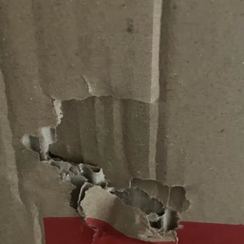 A-101 Şikayet Türksit Asos Oyuncu Koltuğu