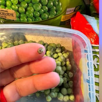 Superfresh Salyangozlu Bezelye Ve Hassasiyetsizliği