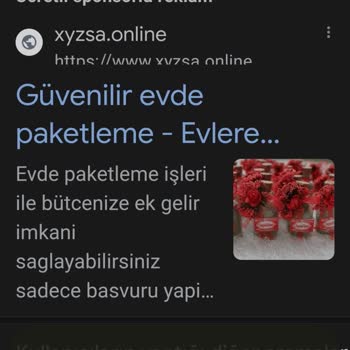 Xyzsa.online Evde Paketleme İsi Başvuruda IBAN T. C. İstemeleri
