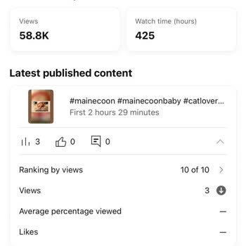YouTube Kanal İzlenme Saatim Yanlış Hesaplanıyor
