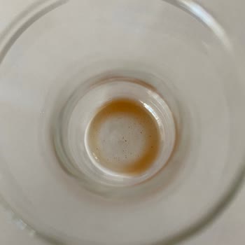 Tortulu Umca - Abdi İbrahim