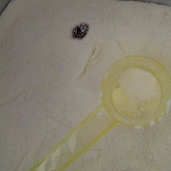 Bebelac Mama'da Böcek Şoku!