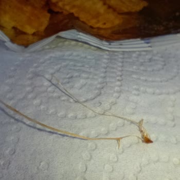 Ruffles Ketçaplı Cipste İplik Benzeri Bir Şey Çıktı