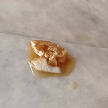 Cappy İçinden Çıkan Tanımsız Şey