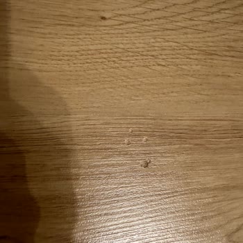 Enza Home Enza Montaj Dikkatsizliği