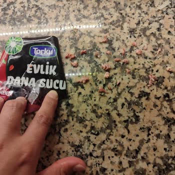 Torku Sucuk Ve İçindeki Sinir