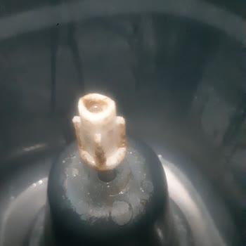 Banat Banar Mopun Başı Dönmüyor