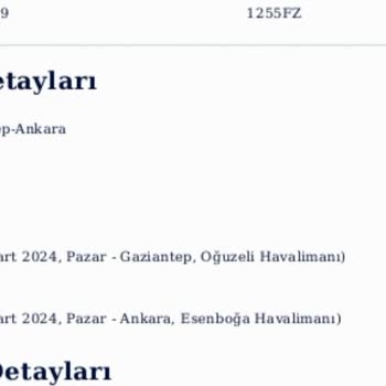 AJet (Anadolu Jet) Satılan Biletin Uçuşu Yok