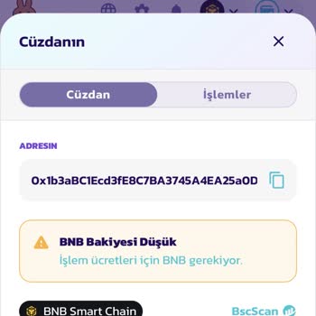 Binance Web3 Ten Bscscan A Yanlış Giden Ödeme