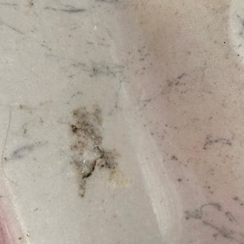 TOKİ Konutlarında Yaşanan İnşaat Sorunları Ve Müteahhit Tepkileri