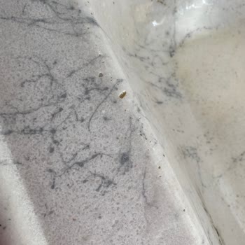TOKİ Konutlarında Yaşanan İnşaat Sorunları Ve Müteahhit Tepkileri