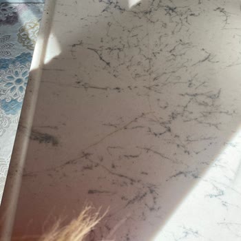 TOKİ Konutlarında Yaşanan İnşaat Sorunları Ve Müteahhit Tepkileri