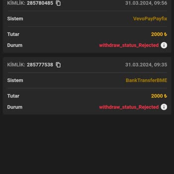 Betdog Casino Sitesi 2000 TL Paramı Sıfırladı! Destekten Engelledi!