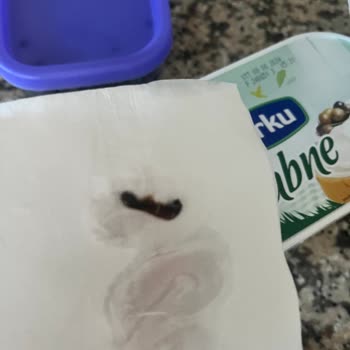 Torku Labne Peynirinden Çıkan Bir Cisim