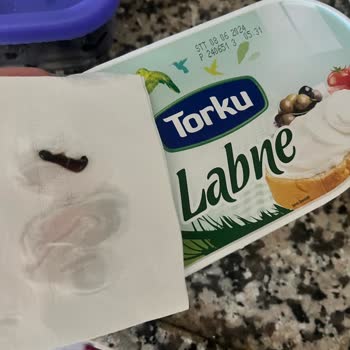 Torku Labne Peynirinden Çıkan Bir Cisim
