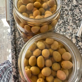 Cem Zeytincilik Ürünlerde Kalite Sorunu Var.