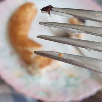 Sinangil Simitten Pişmiş Böcek Çıktı