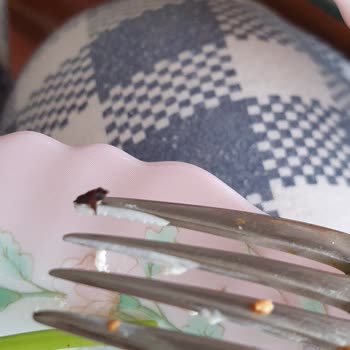 Sinangil Simitten Pişmiş Böcek Çıktı