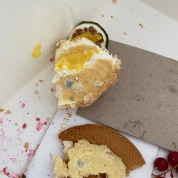 Peonycake Küflü Çıktı!