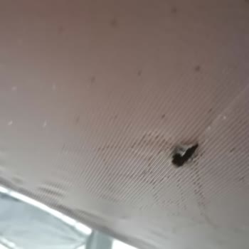 Bellona Leny Koltuk Takımı Kalite Ve Servis Sorunu