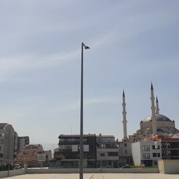 Uludağ Elektrik Dağıtım Boşa Yanan Işıklar Milli Servettir.