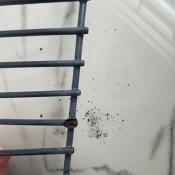 Arçelik Bulaşık Makinesinde Pas Sorunu Ve Müşteri Hizmetleri Hayal Kırıklığı