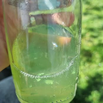 Schweppes İçinde Parçacıklar Var