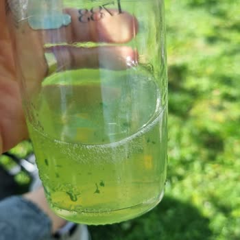 Schweppes İçinde Parçacıklar Var