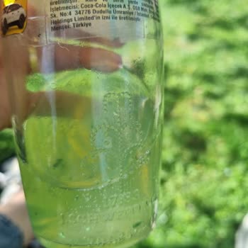 Schweppes İçinde Parçacıklar Var